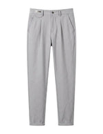 Light gray pleated tailored pants with straight legs on a white background.
