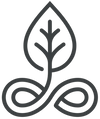 Icon of a leaf with a stylized design on a white background